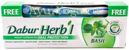     (Dabur Herb'l Basil Oral Protection toothpaste)