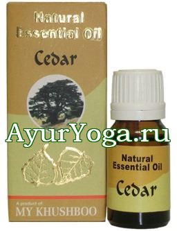   -   (Khushboo Cedar essential oil / Cedrus deodara)