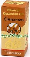  -   (Khushboo Cinnamon essential oil / Cinnamomum zeylanicum)