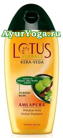 -  (Lotus Shikakai-Amla Herbal Shampoo Amlapura)