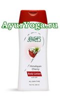   -    (Jovees Himalayan Cherry Pro Collagen Body Lotion with SPF)