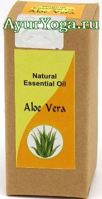   -   (Khushboo Aloe Vera essential oil / Aloe barbadensis)