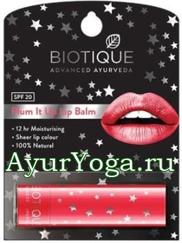 Слива - Бальзам для губ (Biotique Plum It Up Lip Balm)