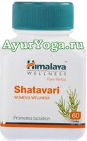 Шатавари таблетки Гималаи (Himalaya Shatavari tab)