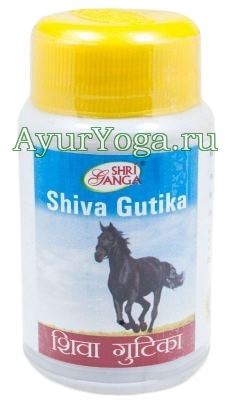     (Shri Ganga Shiva Gutika)