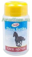 Шива Гутика Шри Ганга (Shri Ganga Shiva Gutika)