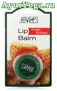 Имбирь-Мед - Бальзам для губ (Jovees Ginger & Honey Lip Balm)