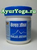 Кайлаш Дживан мазь (Kailas Jeevan multipurpose ayurvedic cream), 60 г