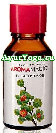 Эвкалипт - Эфирное масло (Aroma Magic Eucalyptus / Eucalyptus globulus Oil)