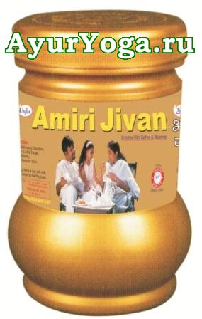 Амири Дживан - Обогащенный Чаванпраш (Unjha Amiri Jivan)