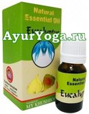 Эвкалипт - Эфирное масло (Khushboo Eucalyptus essential oil / Eucalyptus globulus)