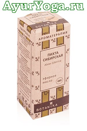 Пихта Сибирская - Эфирное масло (Ботаника)