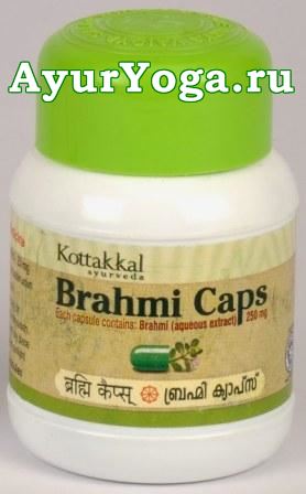 Брахми капсулы Коттакал (AVS Kottakkal Brahmi Caps)