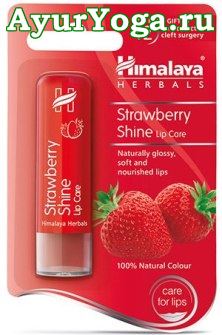 Бальзам для губ "Клубничное Сияние" (Himalaya Strawberry Shine Lip Balm) 5 гр.