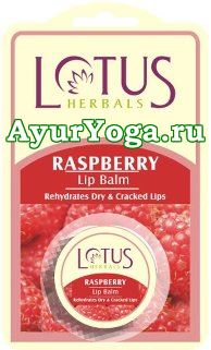 Малина - Бальзам для губ (Lotus Raspberry Lip Balm)