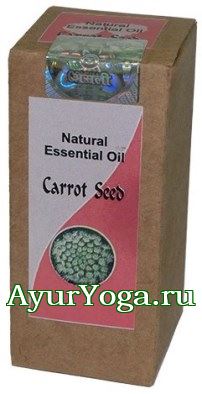 Семян Моркови - Эфирное масло (Khushboo Carrot Seed essential oil / Daucus carota sativa)
