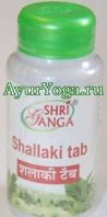     (Shri Ganga Shallaki tab)